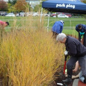 Bulb-Planting